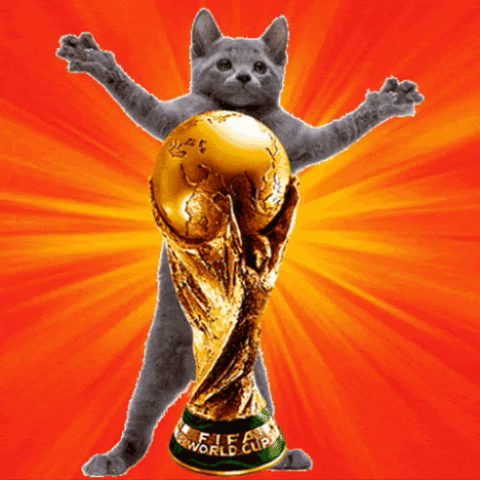 We houden van GIF's - WK Vrouwen 2023